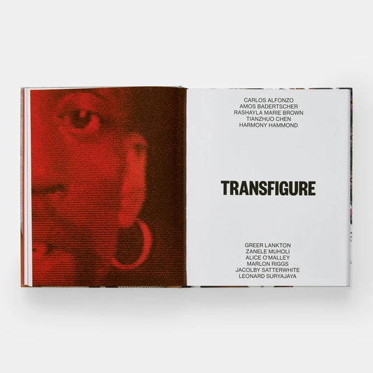 About Face: Stonewall, Revolt, and New Queer Art