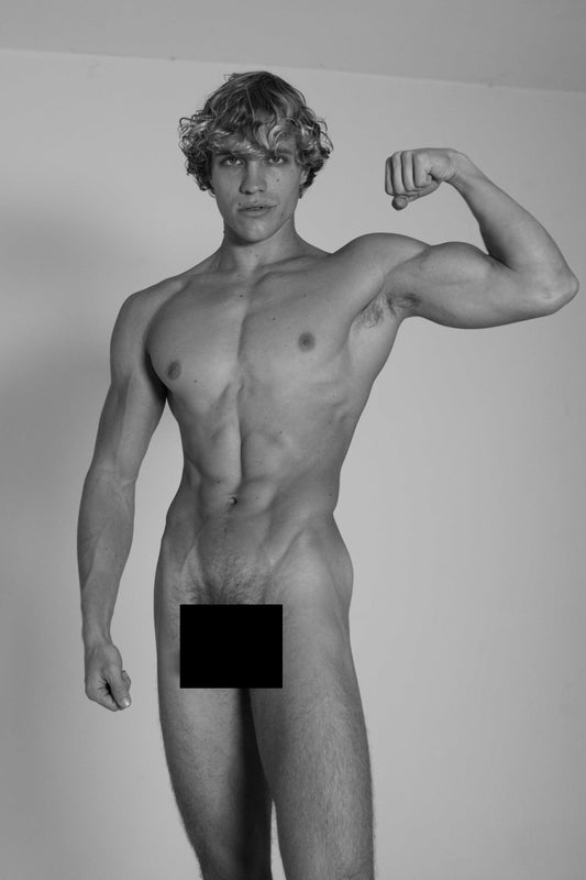 FREEDOM Hardcover Edition OBSCURA by LEWIS