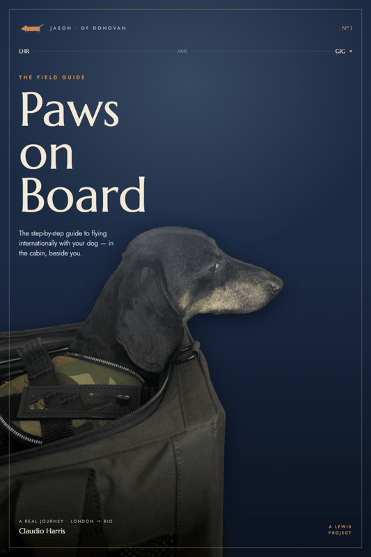 Paws on Board — The In-Cabin Travel Guide